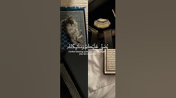 قرأن بصوت جميل جدا😭🤍تلاوة هادئة تريح القلب والسمع🎧💙#تلاوة_خاشعة #ياسر_الدوسري #quran #foryou