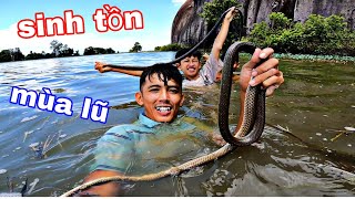 29h Sinh Tồn Trong Nước Lũ | Bắt Rắn Ráo Chuột Đồng 1 Ngày Bội Thu Cho TEAM Sang Vlog