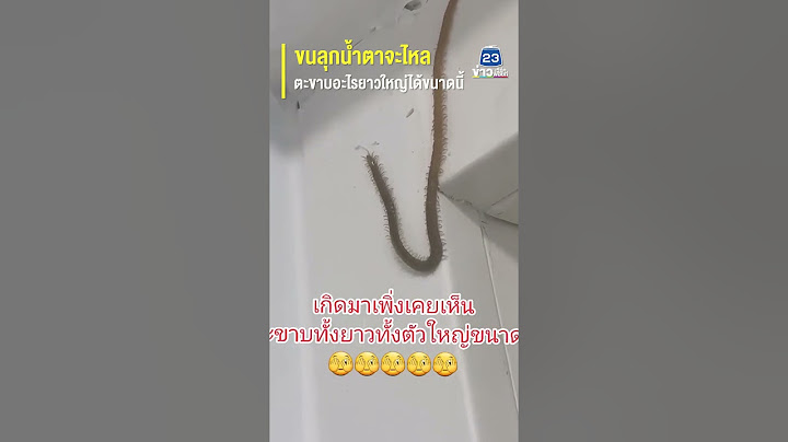 ขนลุกน้ำตาจะไหล ตะขาบอะไรยาวใหญ่ได้ขนาดนี้