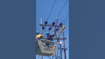 electrical 11 kva work #electrical #lineman #shorts #short #shortsfeed