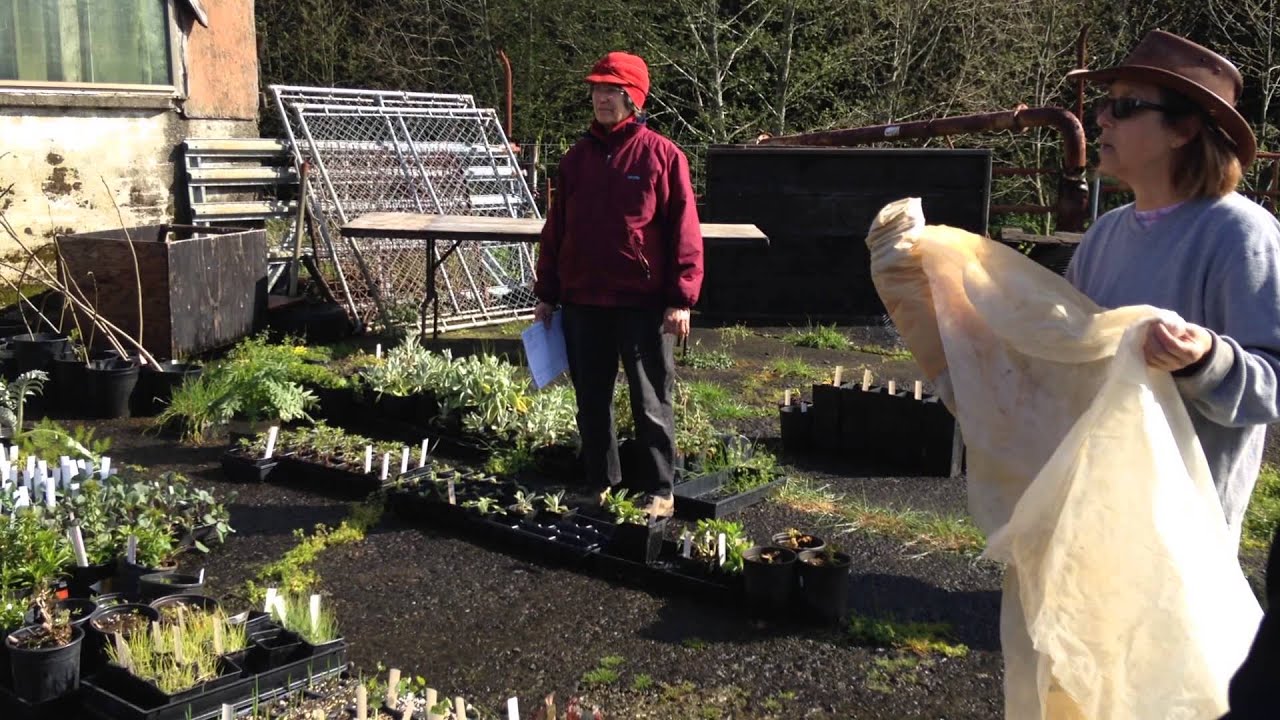 2015 Week 7 - April 14 - Hardening Off Greenhouse Plants - YouTube