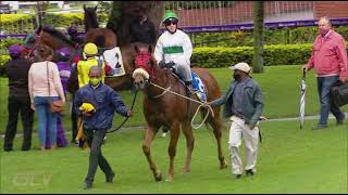 20211027 Hollywoodbets Greyville Race 1 won by FERRANDO