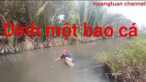 Thả lưới gần cảng Tân Tập dính cả bao cá