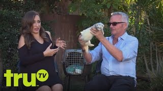 10 Things - Ferrets Can Die From a Lack of Sex