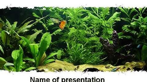 Aquarium Fish Species PowerPoint Template by PoweredTemplate.com