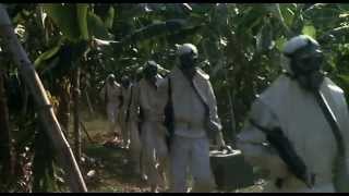 Contamination (1980) - Trailer