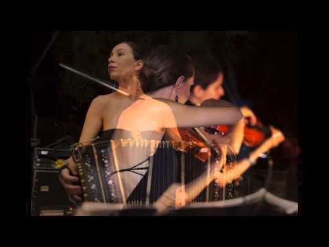 Michele Maccarrone Photos clip – Michele Maccarrone