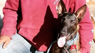 Teaching Young Crenshaw How To Bite