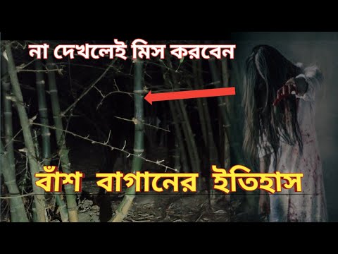 BASH BAGANER BHOOT | Haunted | Bangla Bhooter adda | HORROR |Dream20 Vlogs