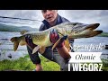 Loch Awe Pike Fishing // Wedkarstwo Szkocja// Biwak rodzinny