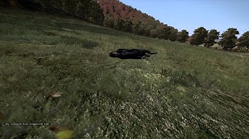 DayZ Standalone: Flying Zombie Glitch