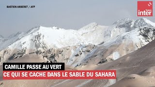 Ce qui se cache dans le sable du Sahara