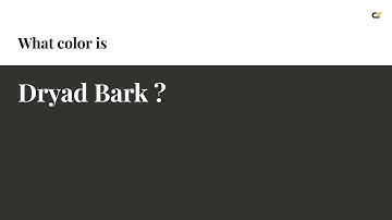 Dryad Bark color #33312d hex color - Brown color - Cool color 33312d