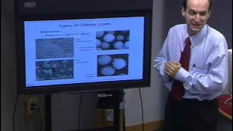 Dr. Orlin Velev, NC State - Spring 2003 - CHE 596I - Colloidal Science & Nanoscale Engineering, 1/25