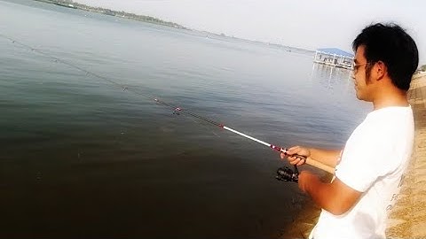 Review cần câu UL đọt đặt siêu dẻo thích hợp câu lure câu tôm