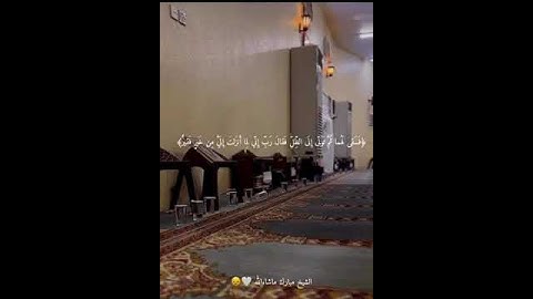 تلاوة جميلة للقارئ مبارك يوسف..سورة القصص