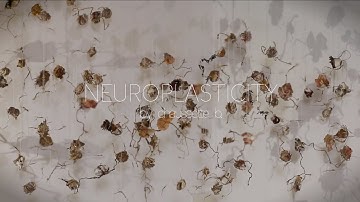 NEUROPLASTICITY floating art installation by chaussette b.