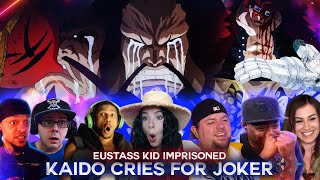 Kaido Crying ! Eustass Kid Imprisoned ! Reaction Mashup