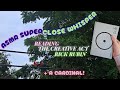 ASMR Reading ☯️ The Creative Act by Rick Rubin 🌧 | Super Close Whisper + Mouth Sounds 