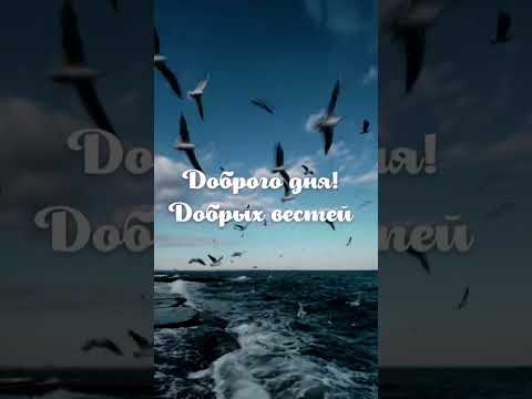 Добрых вестей сегодня!