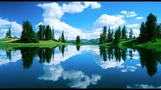 How to set live animation wallpaper in pc screenshot 2