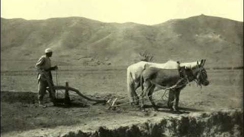 Myaskovsky: String Quartet #7 in F Major, Op. 55 - II Vivace e fantastico