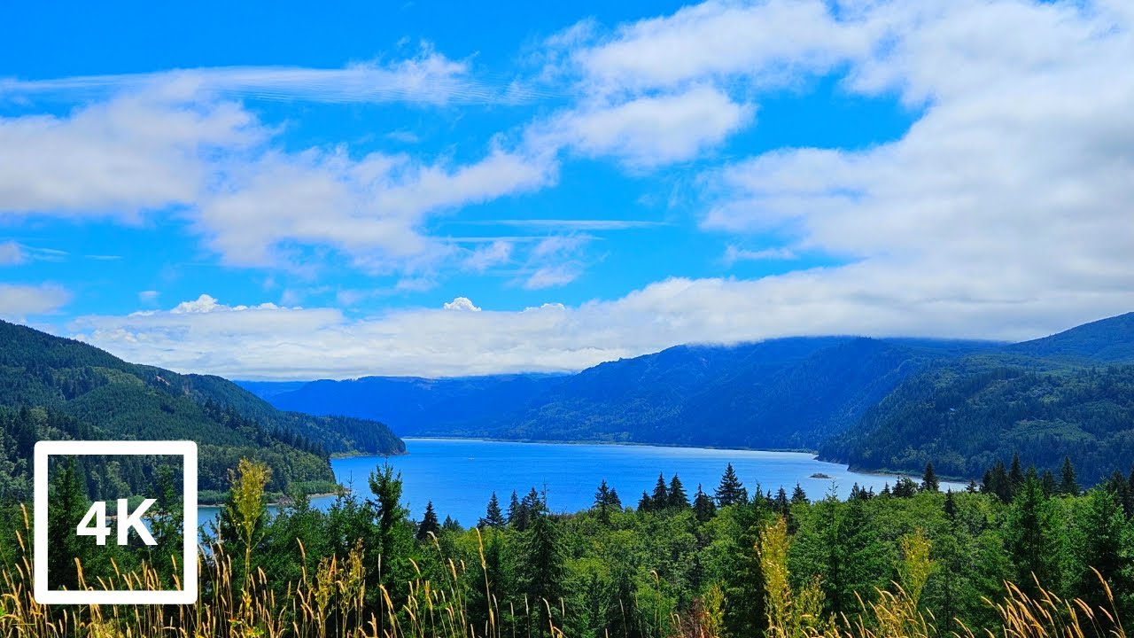 Virtual Treadmill Scenery | Thru Hiking | Hiking With Bird Sounds | Milo McIver State Park