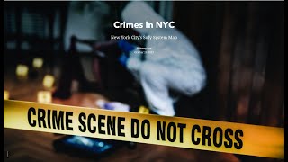 NYC Soft System screenshot 1
