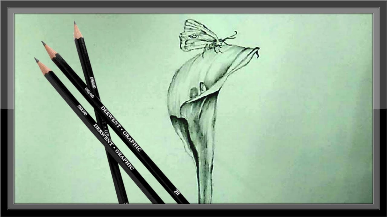 Simple Pencil Drawing Flower For Beginners Step By Step Easy