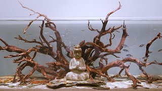 Adg 180Cm Client Hardscape Installation, Buddhas Repose