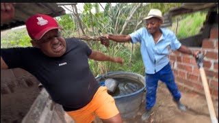 Biro Foi Atrás De Um Leitão Para Ceia De Ano Novo