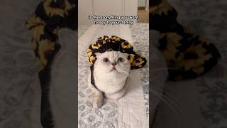 An Advise To My Family