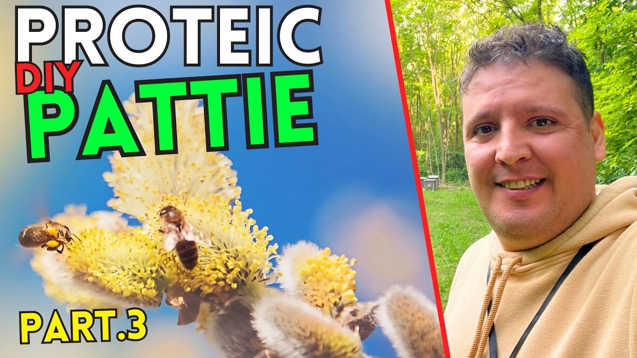 Protein Patties in Pollen Producing Apiaries