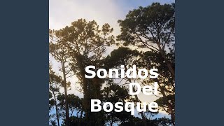 Sonidos Del Bosque Para Dormir (feat. Sonidos de la Selva)