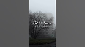 تلاوة خاشعة ومؤثرة القارئ عبدالرحمن مسعد ( هُوَ الَّذِي أَنـزلَ السَّكِينَةَ فِي قُلُوبِ