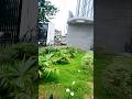 Front side view 😜🪟 of Finlay South City 🏙️🌆 shopping 😄🎴🛍️ Malls at Chattogram Bangladesh #shopping