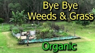 In this video, i show a smothering method to manage unwanted weeds and
grasses vegetable garden beds. at the same time, also explain several
other tips ...