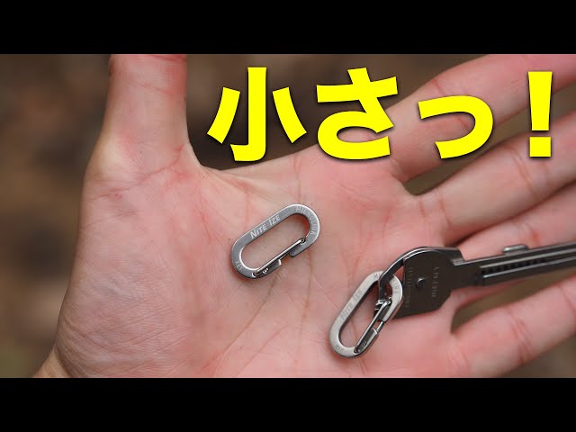 Nite Ize New Mini Carabiner 