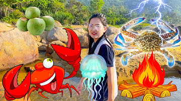 Changcady và thử thách sinh tồn ngoài đảo hoang, tìm được các con vật ngoài biển - Part 420