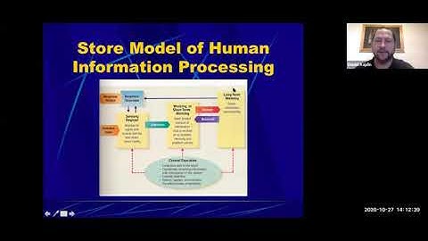 Understanding Cognitive Development: Discover How Information Processing Impacts Human Growth