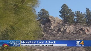 Mountain Park Where Colorado Runner Killed Mountain Lion Stays Closed