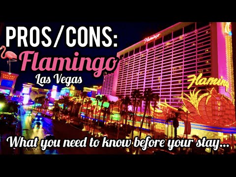 Video: Flamingo Las Vegas Hotel dhe kazino Mu në Rrip