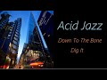 Acid Jazz [Down To The Bone - Dig It] | ♫ RE ♫