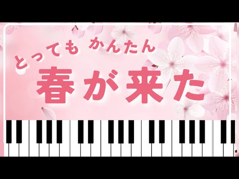 【初級】春が来た🌸やさしい２曲セット