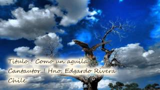 Video thumbnail of "Como Un Águila - Edgardo Rivera. (Audio)"