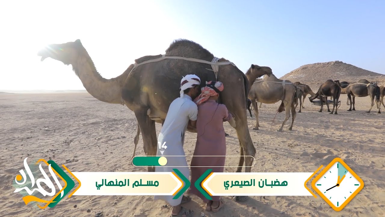 #الميدان6​​ | الخزنة ( الحلقة التاسعة ) | رمضان 2021