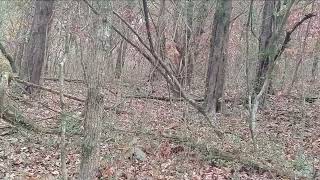 11/15/2023 TVA Public Hunting Land