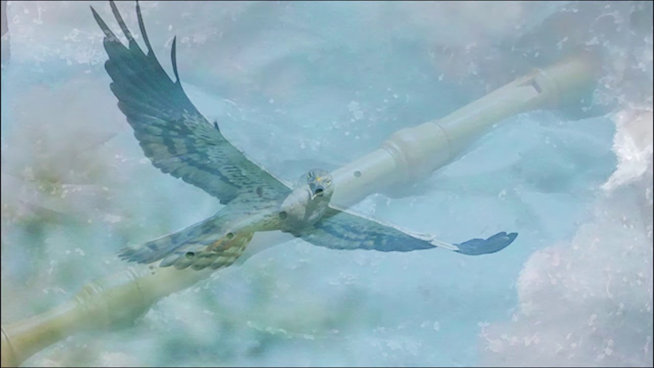 Waldweg (forest path) - lyrics in the description - Maria Norina Hoffmann