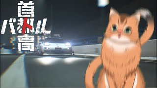 【首都高バトル】社畜ねこの首都高での走りを見よ！【ねこなるもの】
