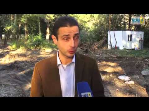 იპოდრომის ტერიტორიაზე ხეები იჩეხება